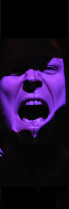 Ingo Böhne